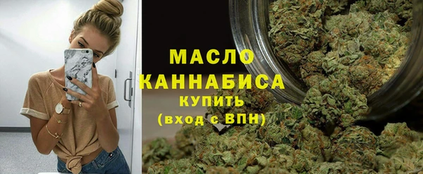 крисы Бронницы