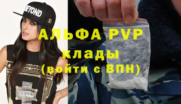 дмт Верея