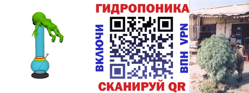 Бошки Шишки семена  Купить  Донецк 